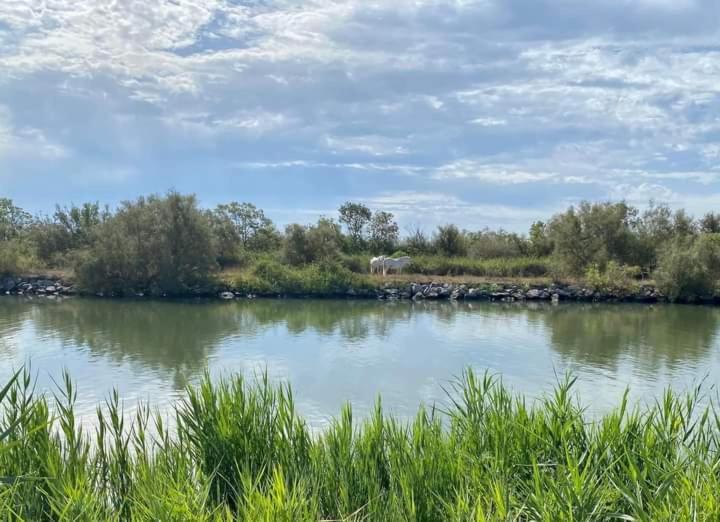 Location Gite En Provence Beaucaire  Exterior photo