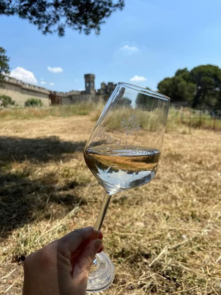 Location Gite En Provence Beaucaire  Exterior photo
